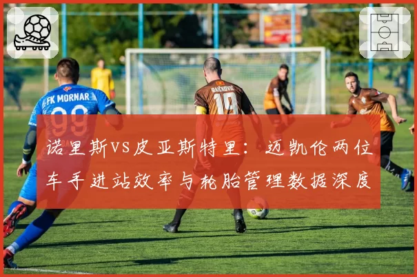 诺里斯vs皮亚斯特里：迈凯伦两位车手进站效率与轮胎管理数据深度剖析